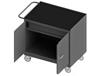 36/48&quot; W MOBILE BENCH CABINETS