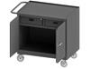 36/48&quot; W MOBILE BENCH CABINETS