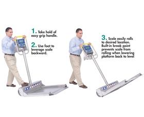 AEGIS&#174; TRANSPORT SCALE